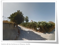 Camino del Rancho en Olivares